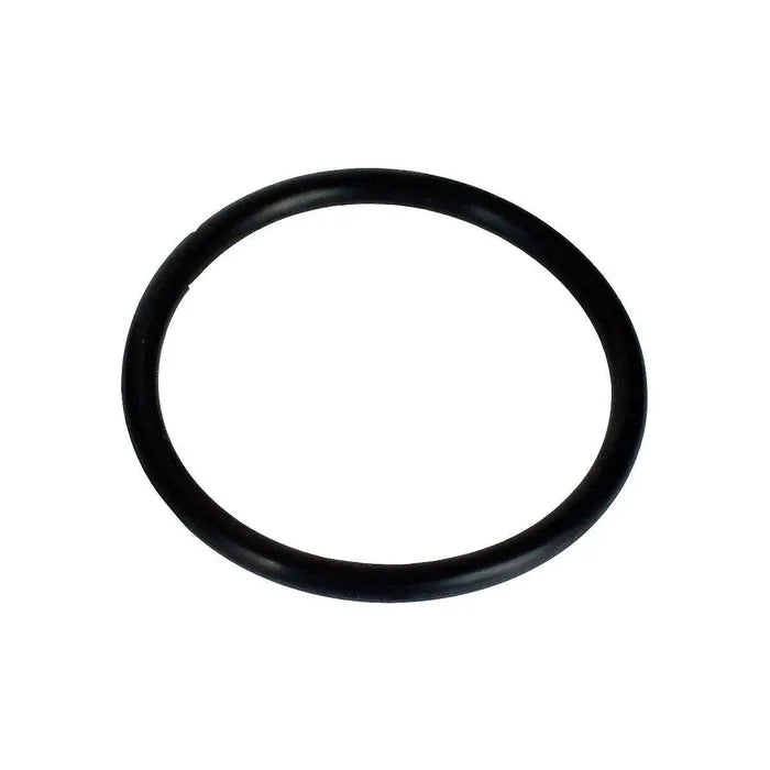 Thermostat Seal