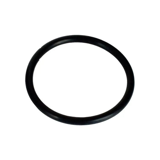 Thermostat Seal