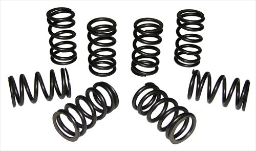 Valve Springs SCAT Heavy Duty
